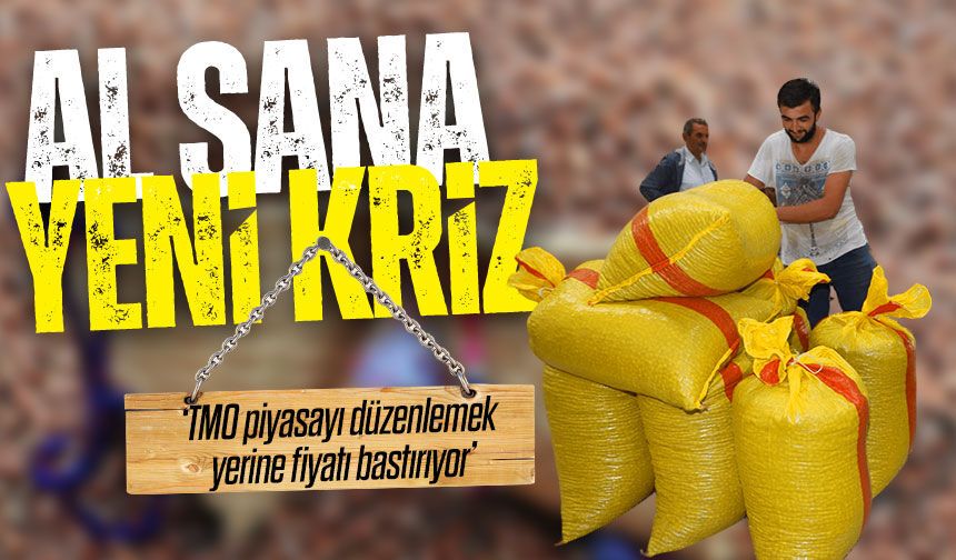 Al Sana Yeni Kriz: ‘TMO Piyasayı Düzenlemek Yerine Fiyatı Bastırıyor’