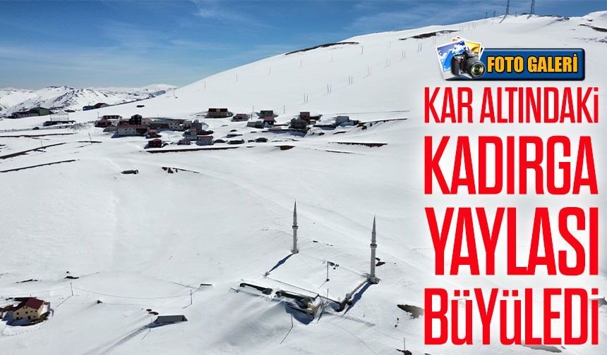 Trabzon-Gümüşhane sınırındaki Kadırga Yaylası’ndan kartpostallık görüntüler
