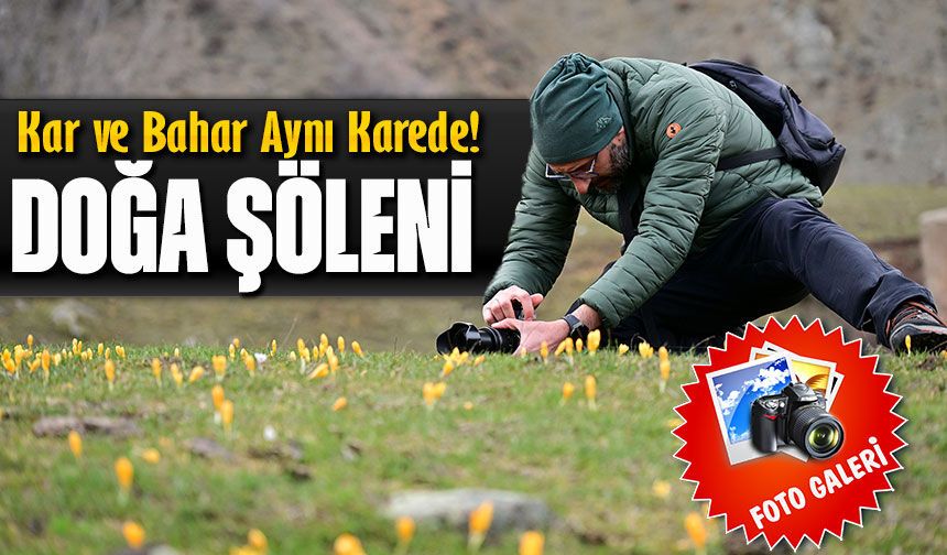 Kar ve Bahar Aynı Karede! Gümüşhane’de Doğa Şöleni Başladı