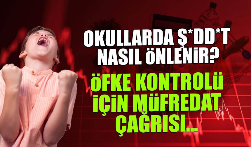 Okullarda Şiddet Alarmı: Uzmanlardan Radikal Müfredat Çağrısı!