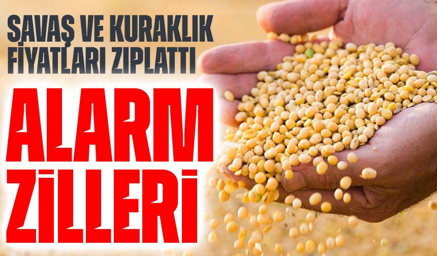 Buğdayda Alarm Zilleri! Savaş ve Kuraklık Fiyatları Zıplattı