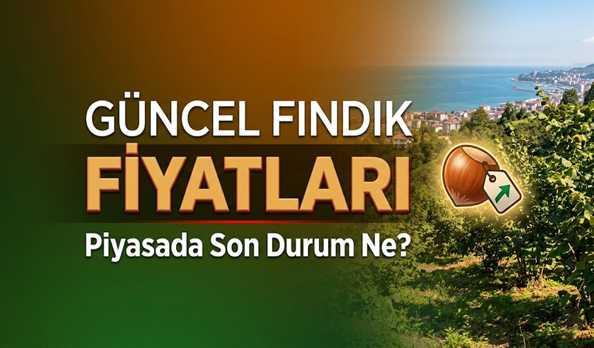 Fındık Fiyatları Düşüşte mi? Uzmanlar Yeni Sezon İçin Ne Diyor?