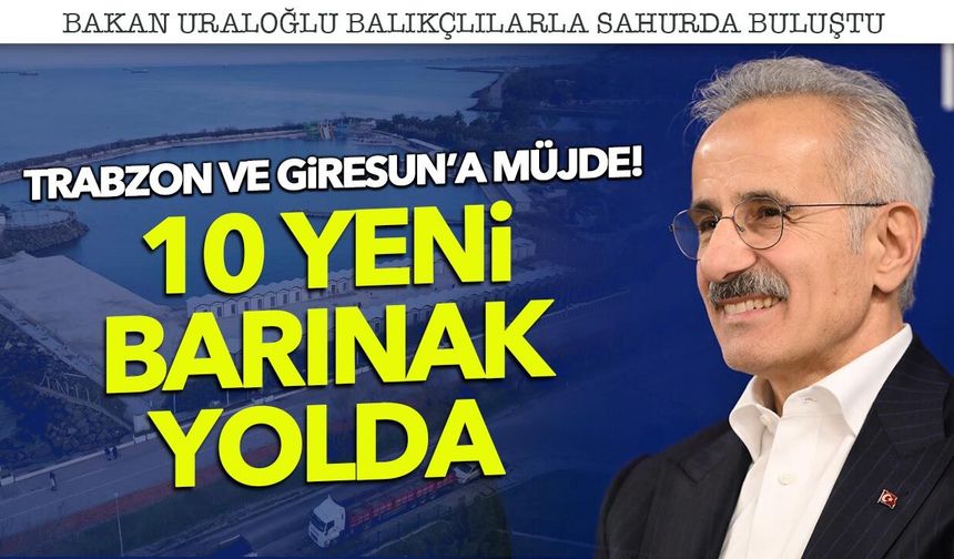 Trabzon ve Giresun'a Müjde! 10 Yeni Barınak Yolda