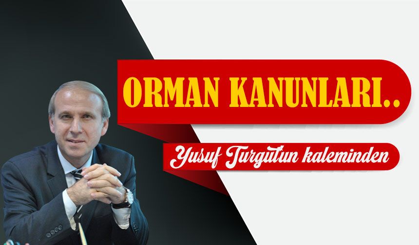 Orman Kanunları..