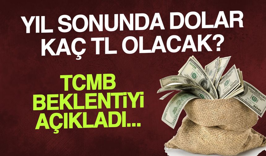 2026 Yılı Sonunda Dolar Kaç TL Olacak? TCMB Beklentiyi Açıkladı...