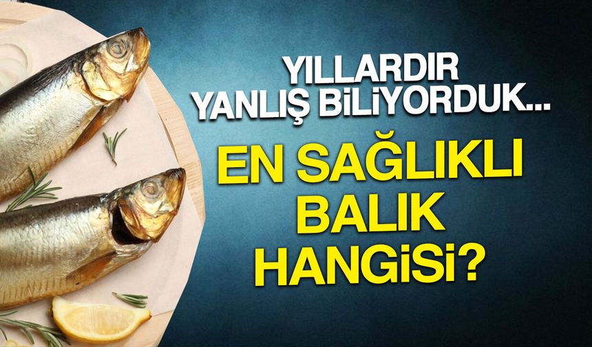 Yıllardır Yanlış Biliyorduk! En Sağlıklı Balık Hangisi?