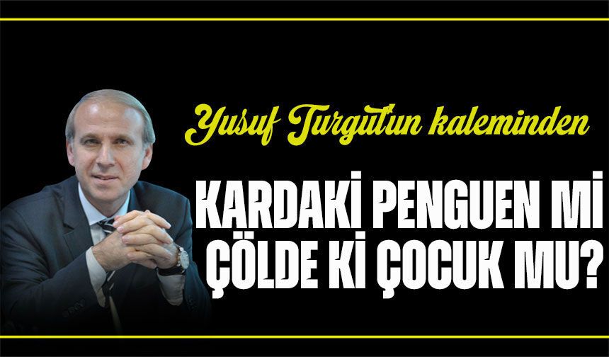 Kardaki Penguen Mi Çölde Ki Çocuk Mu?