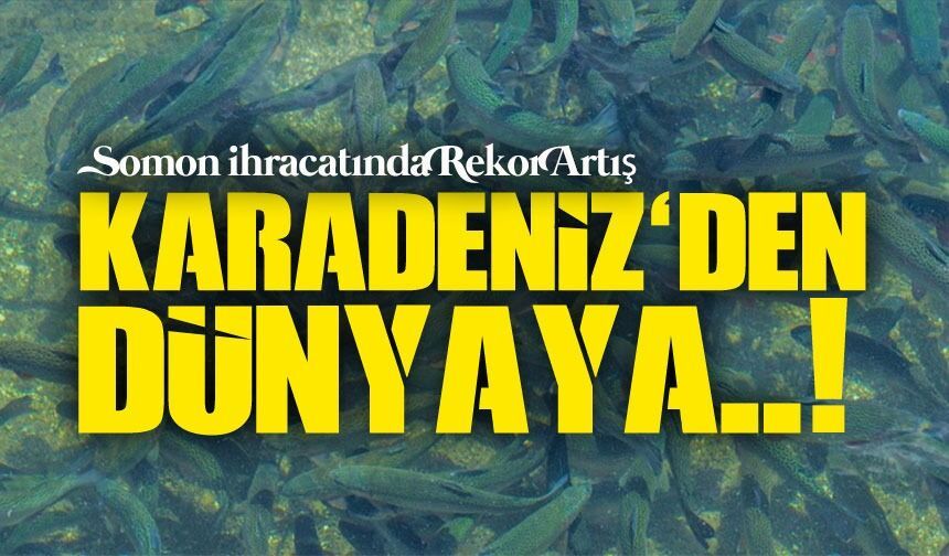 Türk Somonuna Büyük Talep: İhracat 91 Milyon Doları Geçti