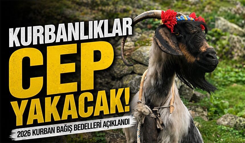 2026 Kurban Bağış Bedelleri Açıklandı ; İşte Diyanetin Açıkladığı Yurt İçi ve Yurt Dışı Fiyatlar