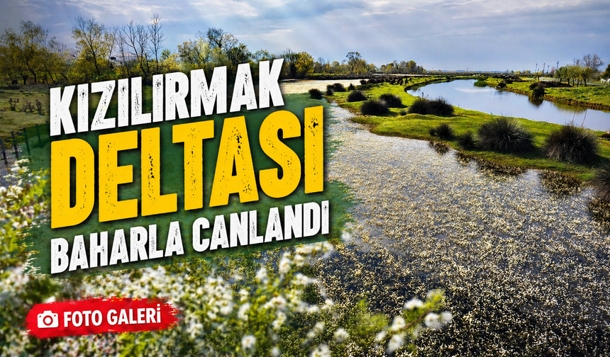 Kızılırmak Deltası baharla canlandı: Doğa şöleni başladı