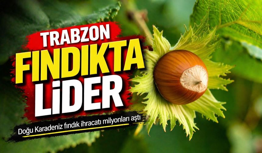 Doğu Karadeniz fındık ihracatı 379 milyon dolara ulaştı; Trabzon Lider Oldu