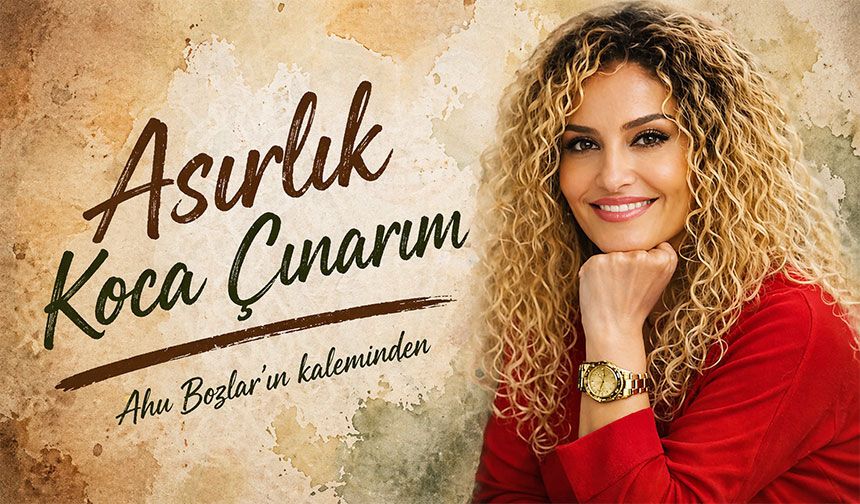 Asırlık Koca Çınarım