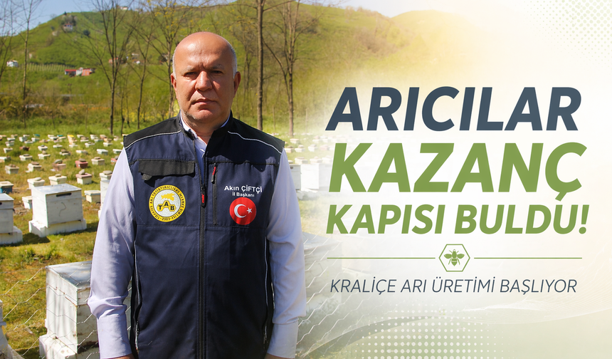Ordu’da kraliçe arı üretimi başlıyor, arıcılar kazanç kapısı buldu