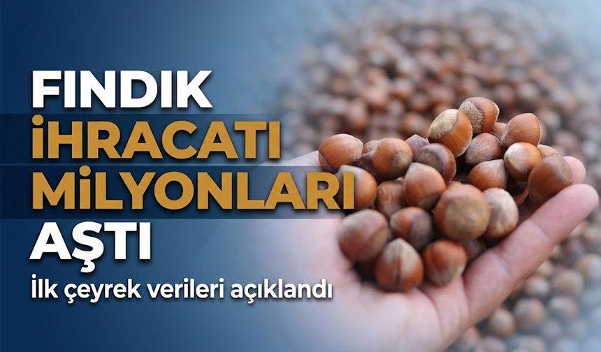 Fındık ihracatı milyon dolarları aştı: İlk çeyrek verileri açıklandı