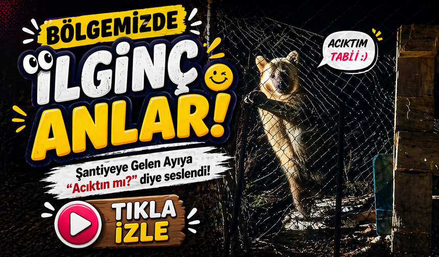 Bölgemizde şantiyeye inen ayı seslenince bakın ne yaptı!