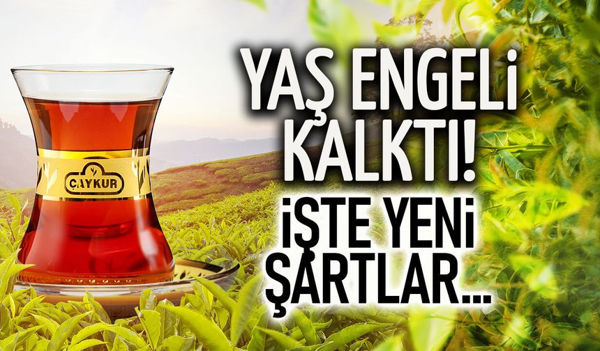 ÇAYKUR'da 40 Yaş Sınırı Tarih Oldu: İşte Yeni Şartlar!