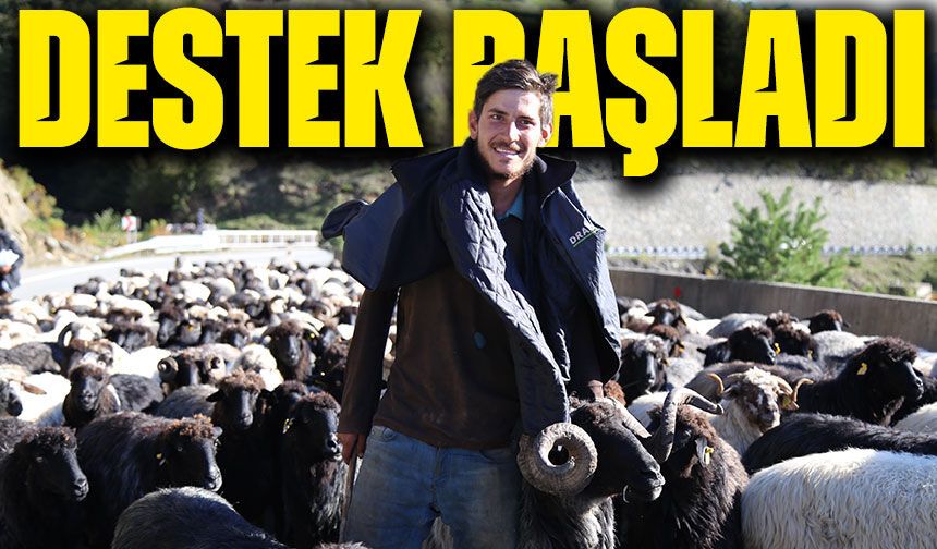 Küçükbaş Hayvancılıkta Dev Destek Başladı: 100 Hayvan ve Nakit Ödeme Fırsatı