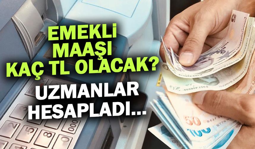 Emekli Maaşı Kaç TL Olacak? Uzmanlar Hesapladı...
