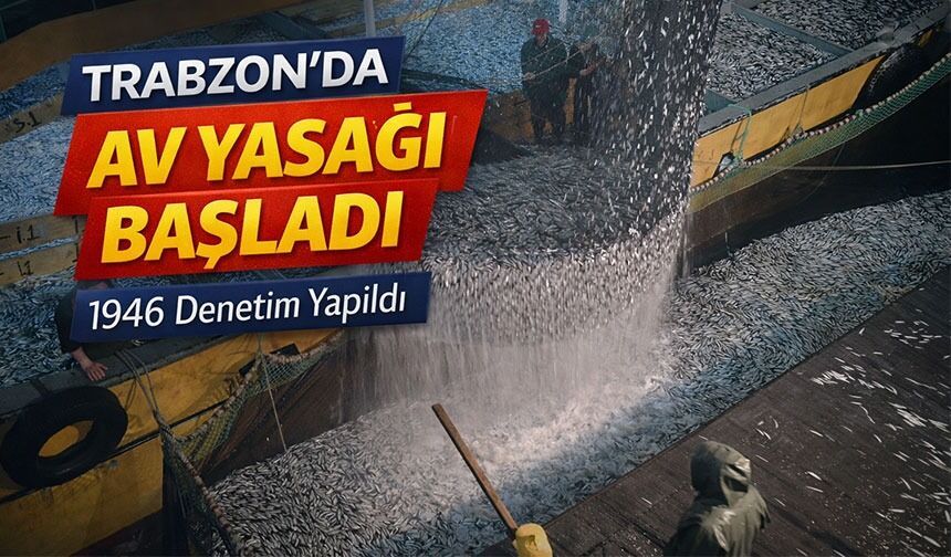 Trabzon’da Av Yasağı Başladı: 21 Bin Ton Hamsi Avlandı