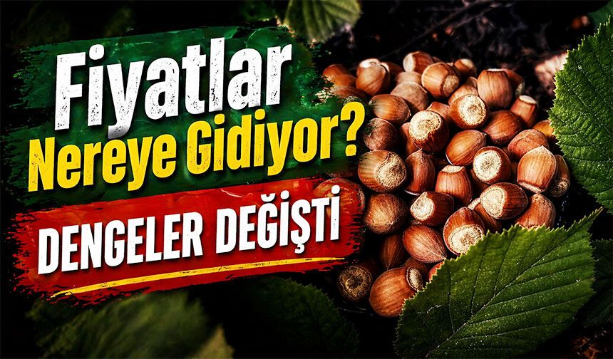 Fındıkta Dengeler Değişti: Giresun Fındığı Zirvede, Fiyatlar Nereye Gidiyor