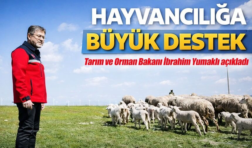 Tarım ve Orman Bakanı Yumaklı açıkladı ;Küçükbaş Hayvancılığa Büyük Destek