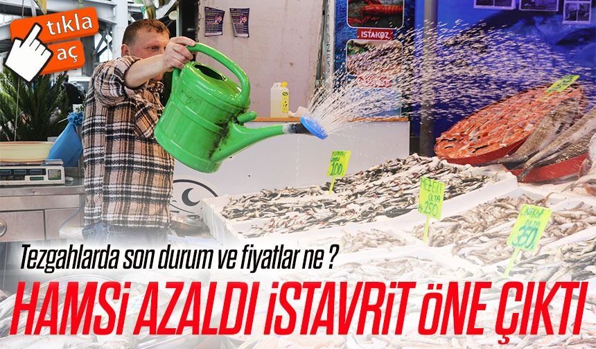 Hamsi azaldı, istavrit öne çıktı: Tezgahlarda son durum ve fiyatlar ne?
