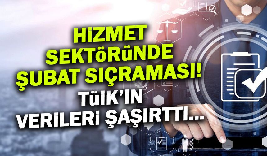 Hizmet Sektöründe Şubat Sıçraması: Teknoloji Uçurdu!