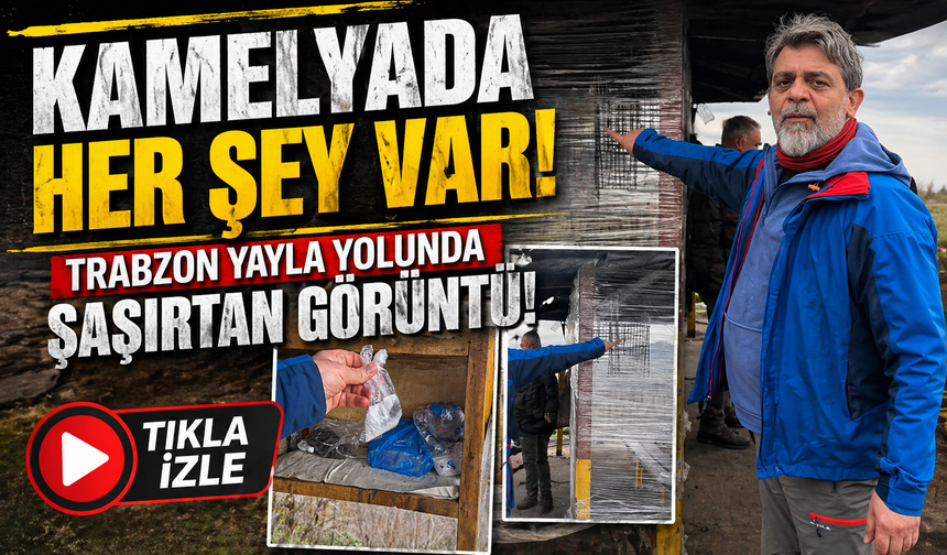 Trabzon Yayla Yolunda Şaşırtan Görüntü: Kamelyada Her Şey Var