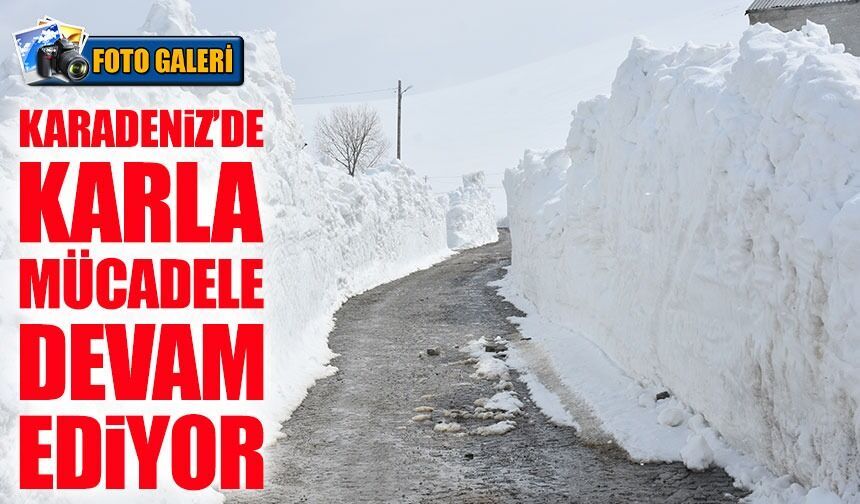 Karadeniz’de kış bitmedi: Gümüşhane’de karla mücadele sürüyor