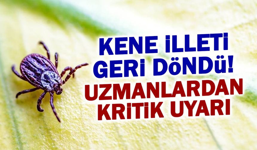 Kene Kabusu Geri Döndü! Uzman İsimden Kritik Uyarı