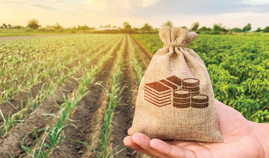 Kırsal Kalkınma Yatırımlarına Büyük Destek! Resmi Gazete'de Yayınlandı