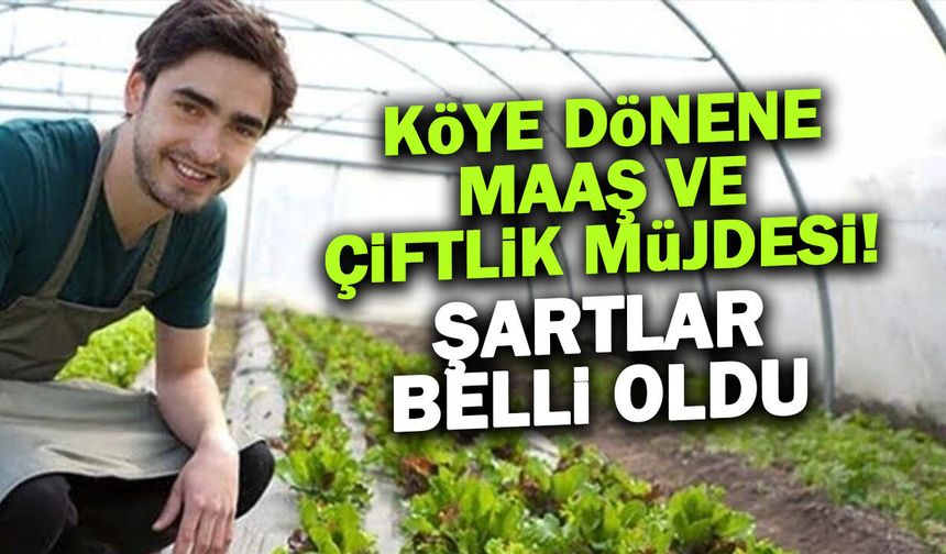Köye Dönene Çiftlik ve Maaş Müjdesi: Şartlar Belli Oldu!