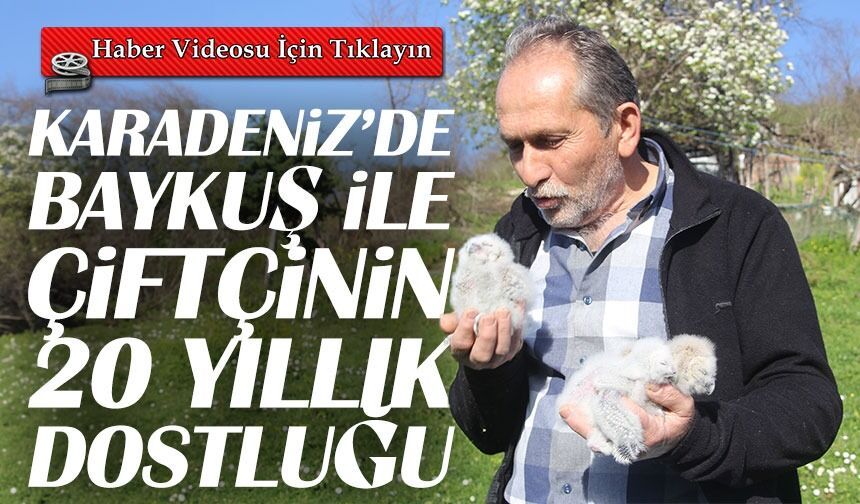 Ordu’da Duygulandıran Hikâye: Çiftçi ve Baykuşun 20 yıllık Bağı