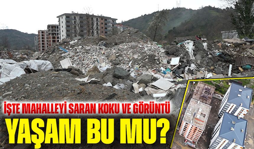 Rize’de Çöp İsyanı! Mahalleyi Saran Koku ve Görüntü Tepki Çekti