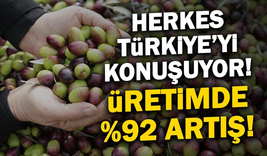 Zeytinyağı üretiminde Türkiye rüzgarı! Üretim yüzde 92 arttı