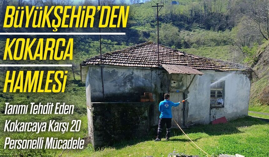 Trabzon’da Kokarca Mücadelesine Büyükşehir’den Destek