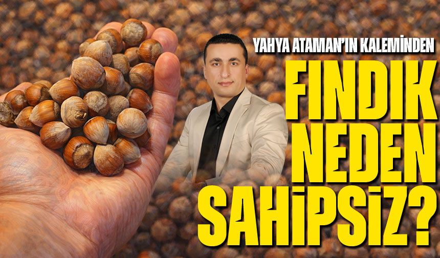 Fındık Neden Sahipsiz?
