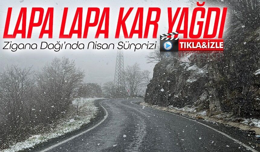 Zigana Dağı’nda Nisan Sürprizi: Lapa Lapa Kar Yağdı