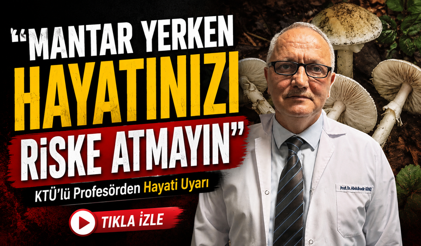 KTÜ’lü Profesörden Hayati Uyarı: “Mantar Yerken Hayatınızı Riske Atmayın”