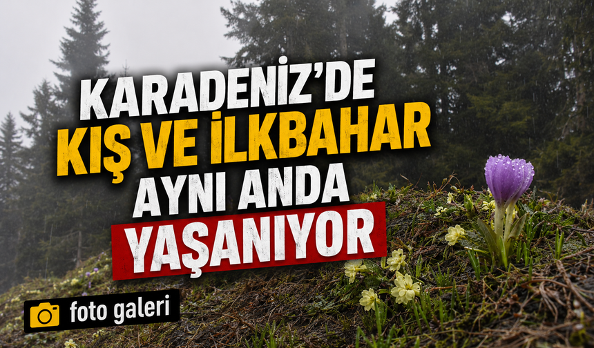 Karadeniz Yaylalarında Kartpostallık Bahar ve Kış Görüntüleri
