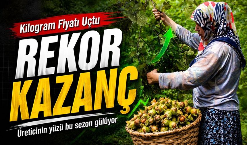 Fındık İhracatında Dikkat Çeken Yükseliş! Kilogram Fiyatı Rekor Kırdı