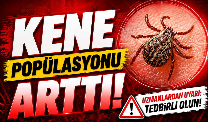 Kene popülasyonu arttı!