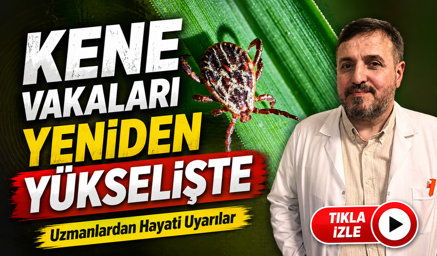 Uzmanlardan KKKA Uyarısı: "Kene Temasını Hafife Almayın"