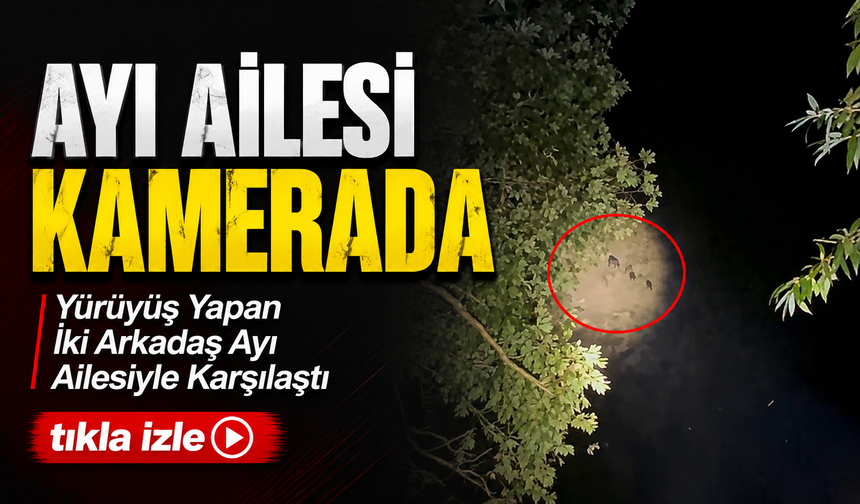 Yürüyüş Yapan İki Arkadaş Ayı Ailesiyle Karşılaştı; Ayı Ailesi Kamerada