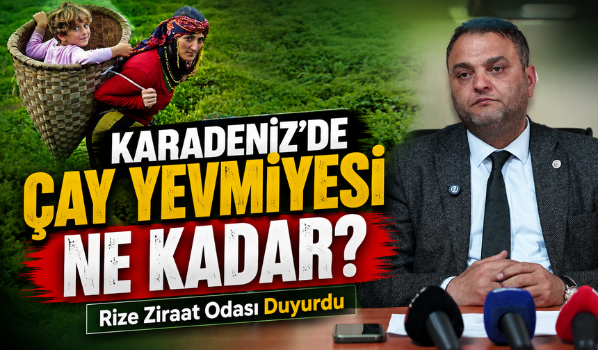 Rize Ziraat Odası Duyurdu; Karadeniz’de Çay Yevmiyesi Ne Kadar?