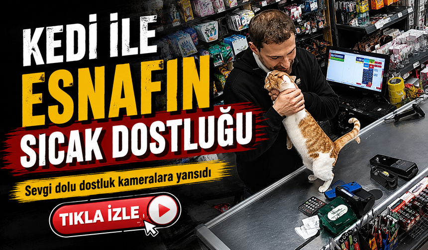 Rize’de İnsan ile Hayvan Arasındaki Sevgi Dolu Dostluk Sosyal Medyada İlgi Topladı