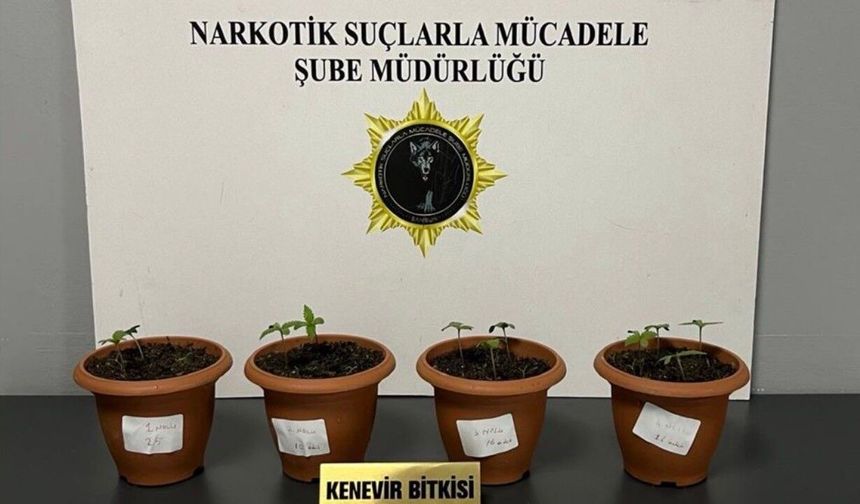 Samsun'da yasaklı madde operasyonu: 4 gözaltı