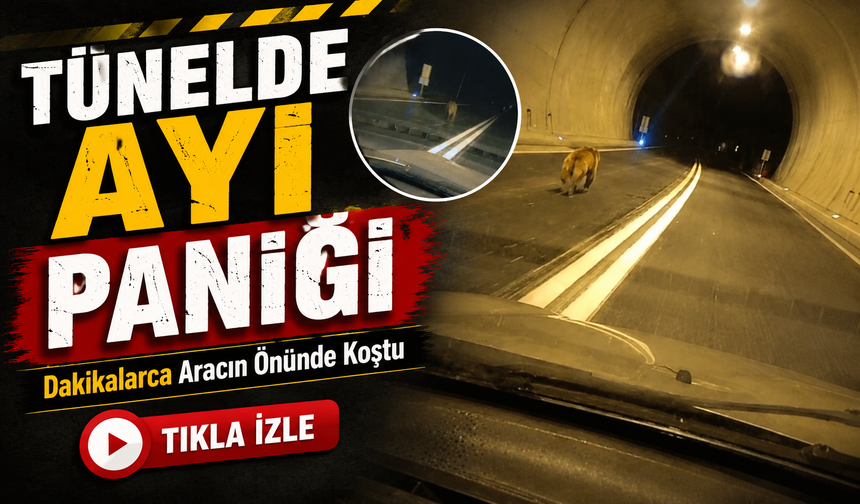 Aracın Önünde Dakikalarca Koştu: Giresun’daki Ayı Görüntüleri Sosyal Medyada Gündem Oldu