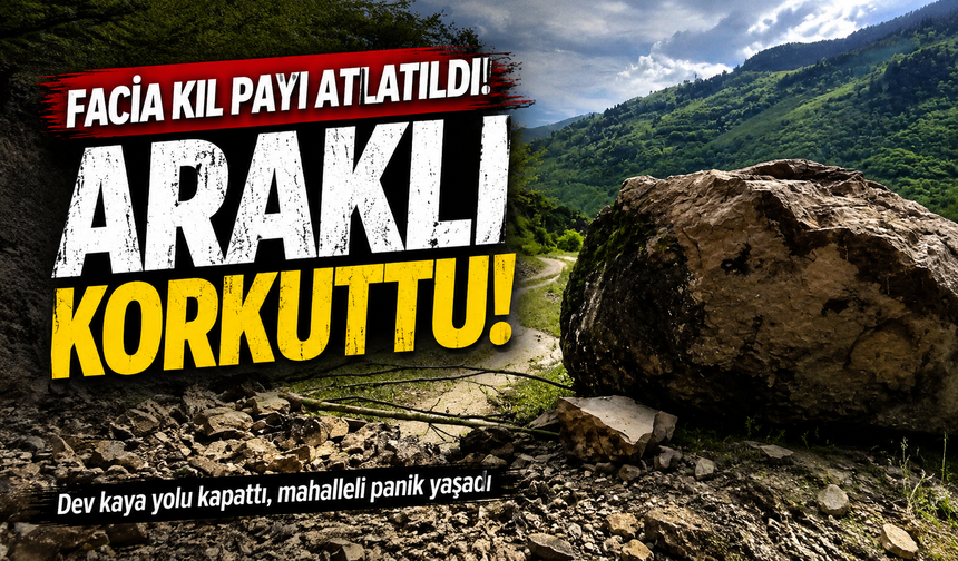 Araklı'da Dev Kaya Alarmı: Mahalle Sakinleri Yetkililere Acil Çağrı Yaptı