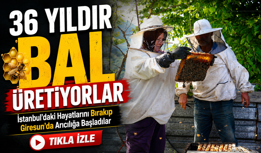 İstanbul’daki Hayatlarını Bırakıp Giresun’da Arıcılığa Başladılar; 36 Yıldır Bal Üretiyorlar